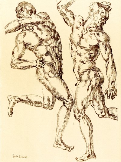 Dois estudos masculinos de nudez de Baccio Bandinelli