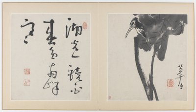 Páginas de um álbum de flores, pássaros, insetos e peixes, dinastia Qing, 1688-89 (tinta sobre papel) de Bada Shanren