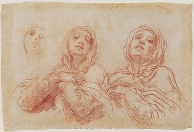 Estudos para a Cabeça da Virgem, c.1680 (giz vermelho com traços de giz branco aumentando no papel) de Baldassare Franceschini