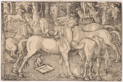 Grupo de Sete Cavalos, 1534. de Baldung