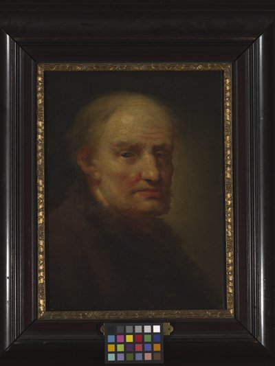 Cabeça de um homem velho (óleo sobre madeira) de Balthasar Denner