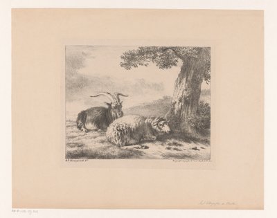 Corço e ovelha de Balthasar Paul Ommeganck