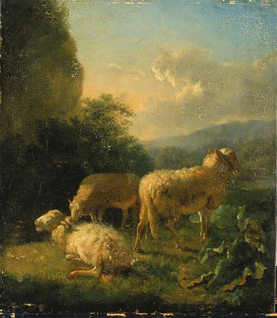 Ovinos de Balthasar Paul Ommeganck