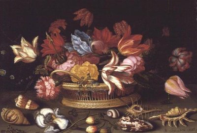 Um Cesto de Flores com Conchas em um Ledge (painel de óleo) de Balthasar van der Ast