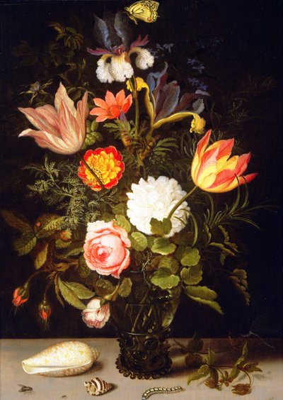 Ainda vida de flores em um Roemer com duas conchas de Balthasar van der Ast