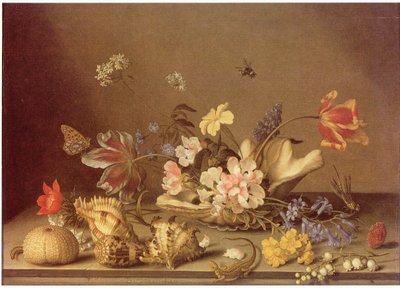 Natureza morta de flores e conchas de Balthasar van der Ast