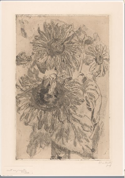 Três girassóis em um vaso de Barbara Elisabeth van Houten (signed by artist)
