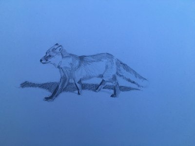 Fox, 2018 de Barbara Hoogeweegen