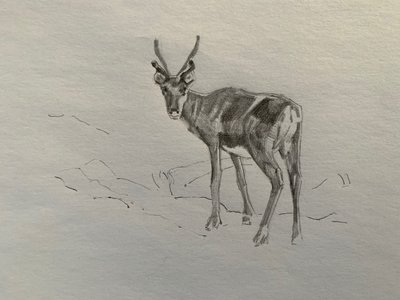 Renas, 2019 de Barbara Hoogeweegen