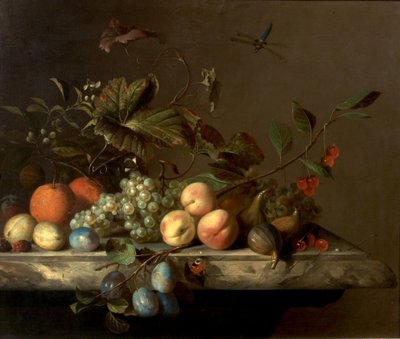 Pedaço de Fruta com Libélula, 1692 de Barend or Bernardus van der Meer