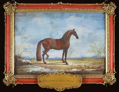 No. 2 Alzan de Tunis, um cavalo Barbary da Escola Espanhola de Equitação (wc no papel) de Baron Reis Eisenberg