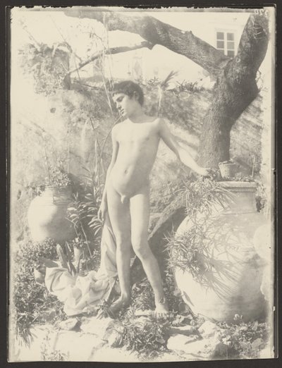 [Jovem nu no jardim]. de Baron Wilhelm von Gloeden