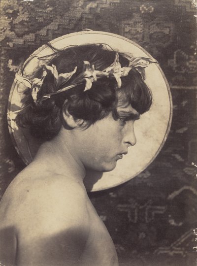 [Menino siciliano com coroa e auréola de lírio] de Baron Wilhelm von Gloeden