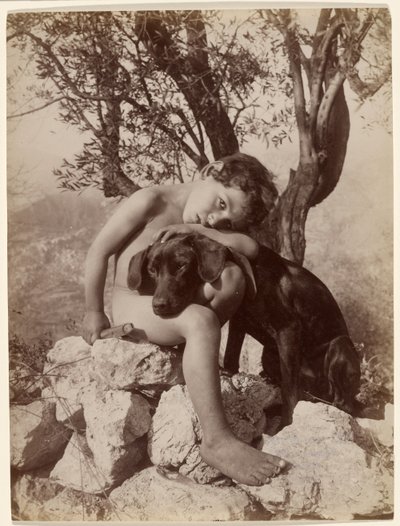 Rapaz jovem nu e cão de Baron Wilhelm von Gloeden