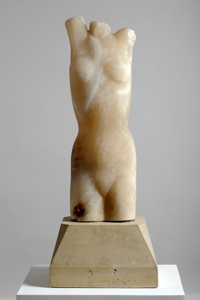 Torso de Barry Hart