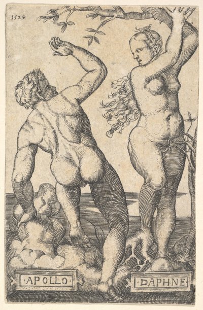 Apollo e Daphne cópia reversa. de Barthel Beham
