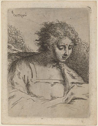 Leitura de Figura de Meio Comprimento de Bartholomäus Ignaz Weiss