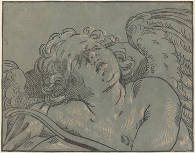 Cupido dormindo de Bartolomeo Coriolano after Guido Reni