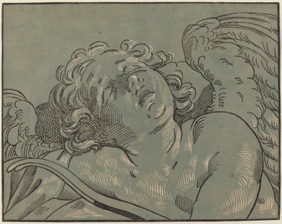 Cupido dormindo de Bartolomeo Coriolano after Guido Reni