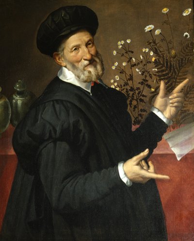 O botânico de Bartolommeo Passerotti