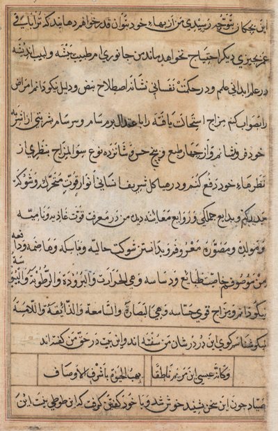 Página de Contos de um Papagaio Tuti-nama: página de texto, c. 1560. de Basavana