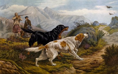 Caça ao galo de Basil Bradley