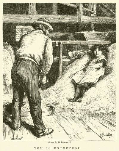 Tom é esperado de Basil Bradley