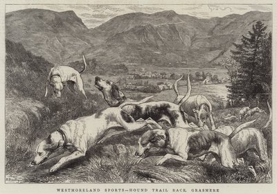 Esportes de Westmoreland, raça experimental do cão de caça, Grasmere de Basil Bradley