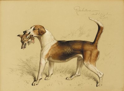 Retribuição de Basil J. Nightingale