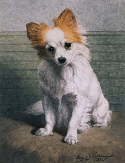 Cão de Brinquedo de Basil J. Nightingale