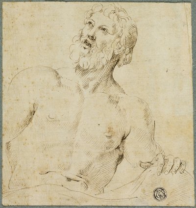 Esboço de meio comprimento do homem barbudo (Júpiter?) de Battista Franco