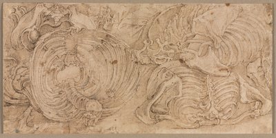 Rib Cages, início da década de 1540. de Battista Franco