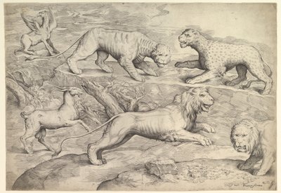 Seis animais, incluindo leões, um tigre, um leopardo, um grifo e uma cabra, ca. 1530-61. de Battista Franco Veneziano