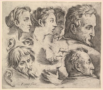 Estudos de Chefes. de Battista Franco Veneziano