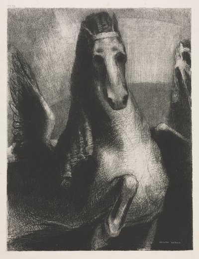 A asa de Becquet