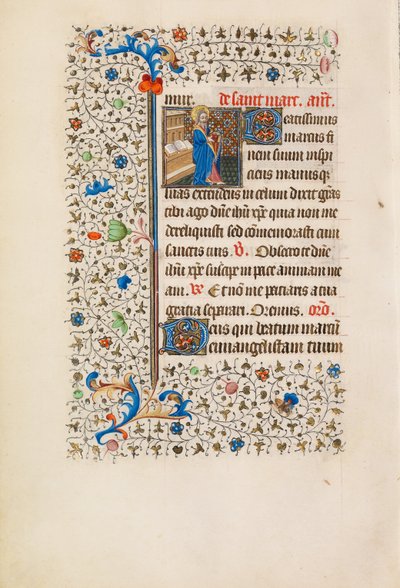 São Marcos de Bedford Master