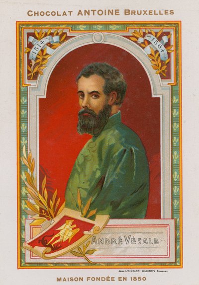 Andres Vesalius, anatomista e médico flamengo do século XVI de Belgian School
