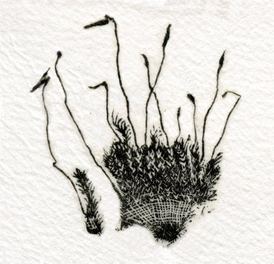 Brotando Moss, 2014, (gravura em madeira no gampi) de Bella Larsson