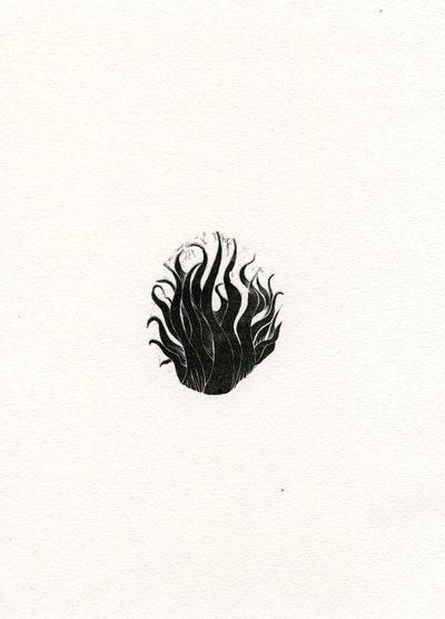 Fogo, 2017, (gravura em madeira sobre papel) de Bella Larsson