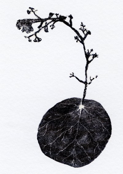 Lichen Leaf, 2014 (xilogravura, colagem sobre papel) de Bella Larsson