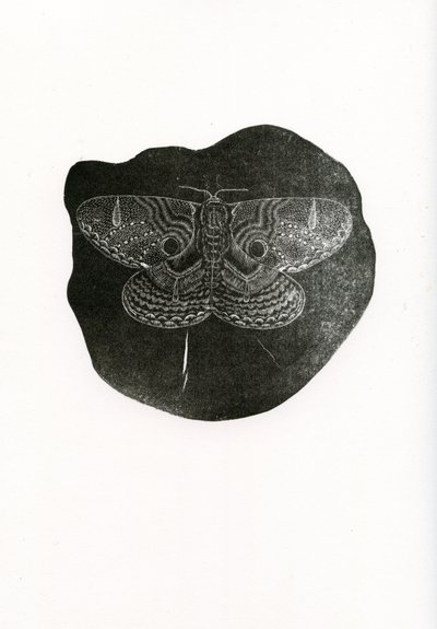 Borboleta da noite, 2016, (gravura em madeira sobre papel) de Bella Larsson