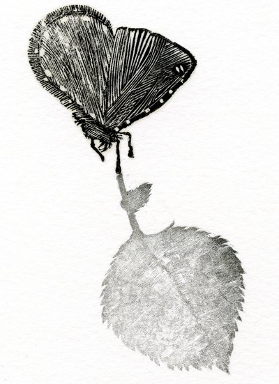 Suspense, 2014 (Gravação em madeira, colagem sobre papel) de Bella Larsson