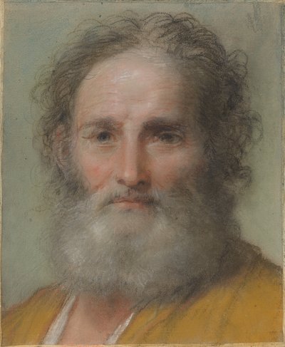 Cabeça de um homem barbudo de Benedetto Luti