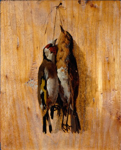 Estudo de depois da natureza Dois alfinetes de pássaros mortos na parede. Pintura de Benedetto Musso (1835-1883) 1864 circa Sun. Genes de 20,5x16,5 cm, Galleria d