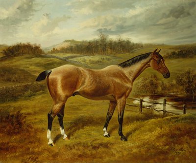 Um caçador de Roan de morango numa paisagem de Benjamin Cam Norton