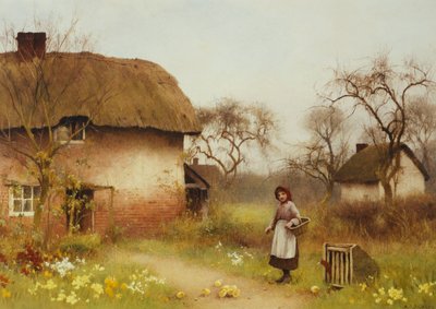 Hora da alimentação de Benjamin D. Sigmund