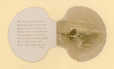 Ilustração para folheto intitulado Sea Shells (cor litho) de Benjamin D. Sigmund
