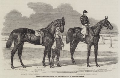 Os vencedores do Derby e dos Oaks de Benjamin Herring
