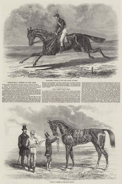 Cavalos de corrida vencedores de Benjamin Herring