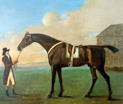 Um noivo segurando os restos de um cavalo de corrida 